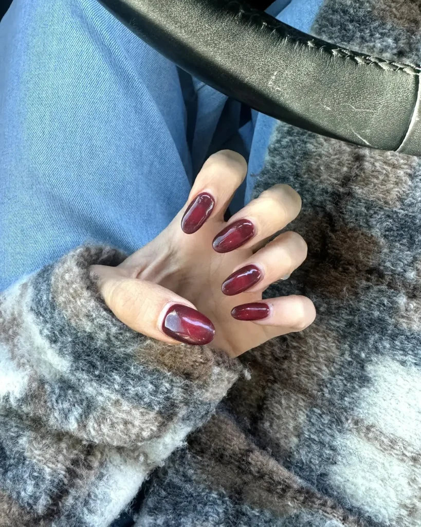 Fall Nail Design Inspo and Colors 2026: Shades, Techniques, and Looks for Every Nail 60 burgundy aura fall nail designs