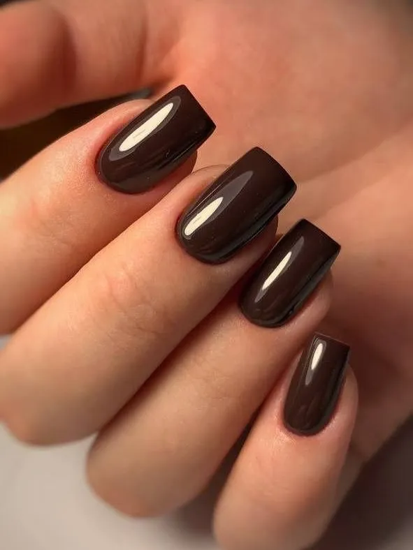 Fall Nail Design Inspo and Colors 2026: Shades, Techniques, and Looks for Every Nail 31 espresso fall nail colors