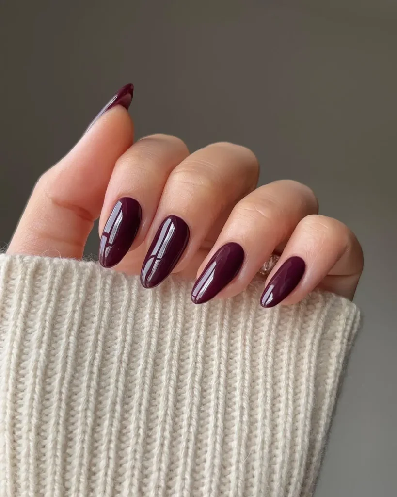 Fall Nail Design Inspo and Colors 2026: Shades, Techniques, and Looks for Every Nail 9 plum fall nail colors